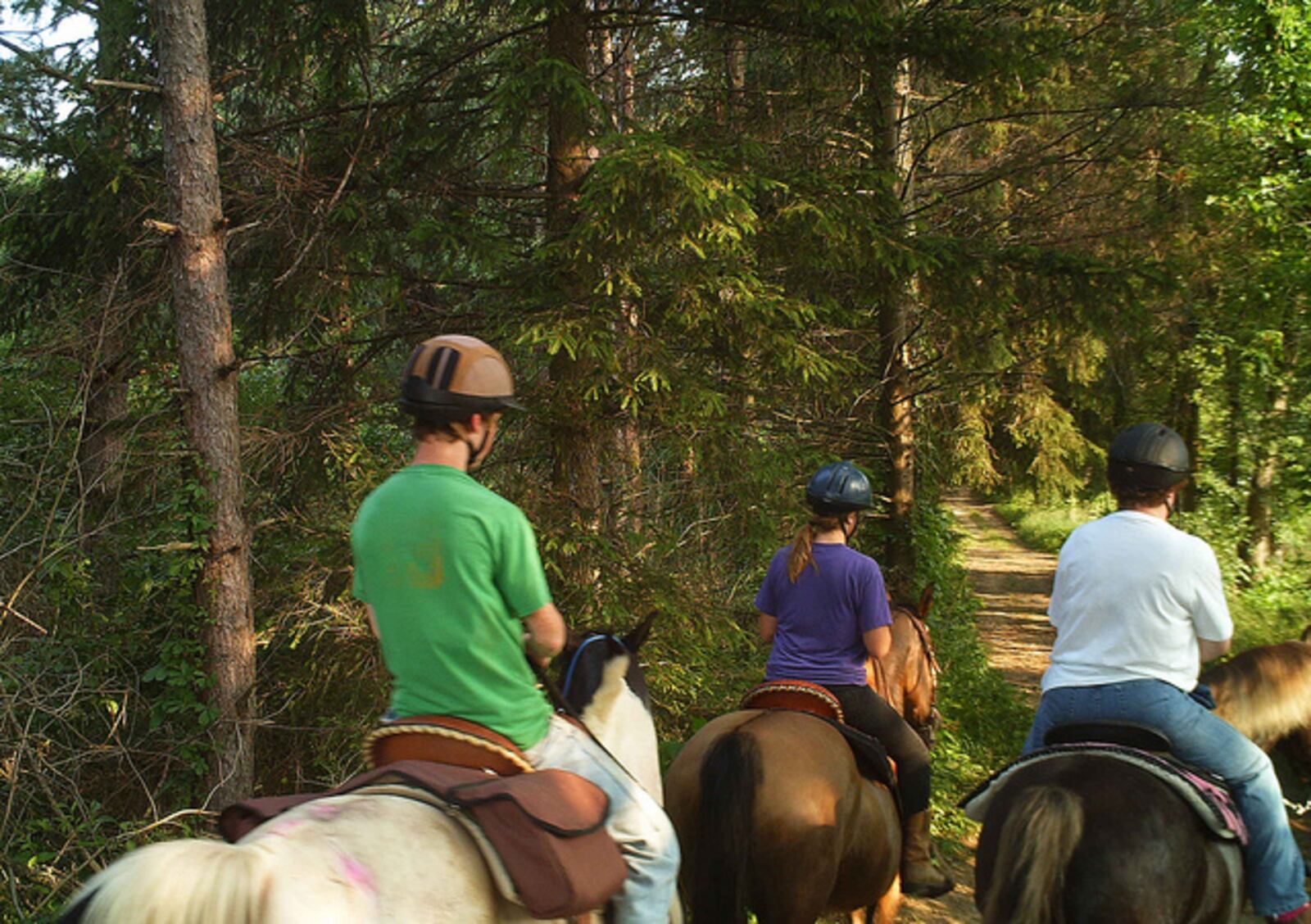 Carriage Hill MetroPark Riding Center offers a variety of opportunities to take the reins from relaxing guided trail rides to advanced adult and youth lessons. CONTRIBUTED PHOTO