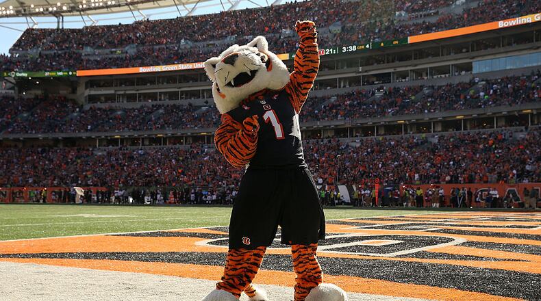 CINCINNATI, OH - OCTOBER 11: The mascot for the Cincinnati Bengals dances on the sideline during the game between the Cincinnati Bengals and the Seattle Seahawks at Paul Brown Stadium on October 11, 2015 in Cincinnati, Ohio. Cincinnati defeated Seattle 27-24 in overtime. (Photo by Andy Lyons/Getty Images)