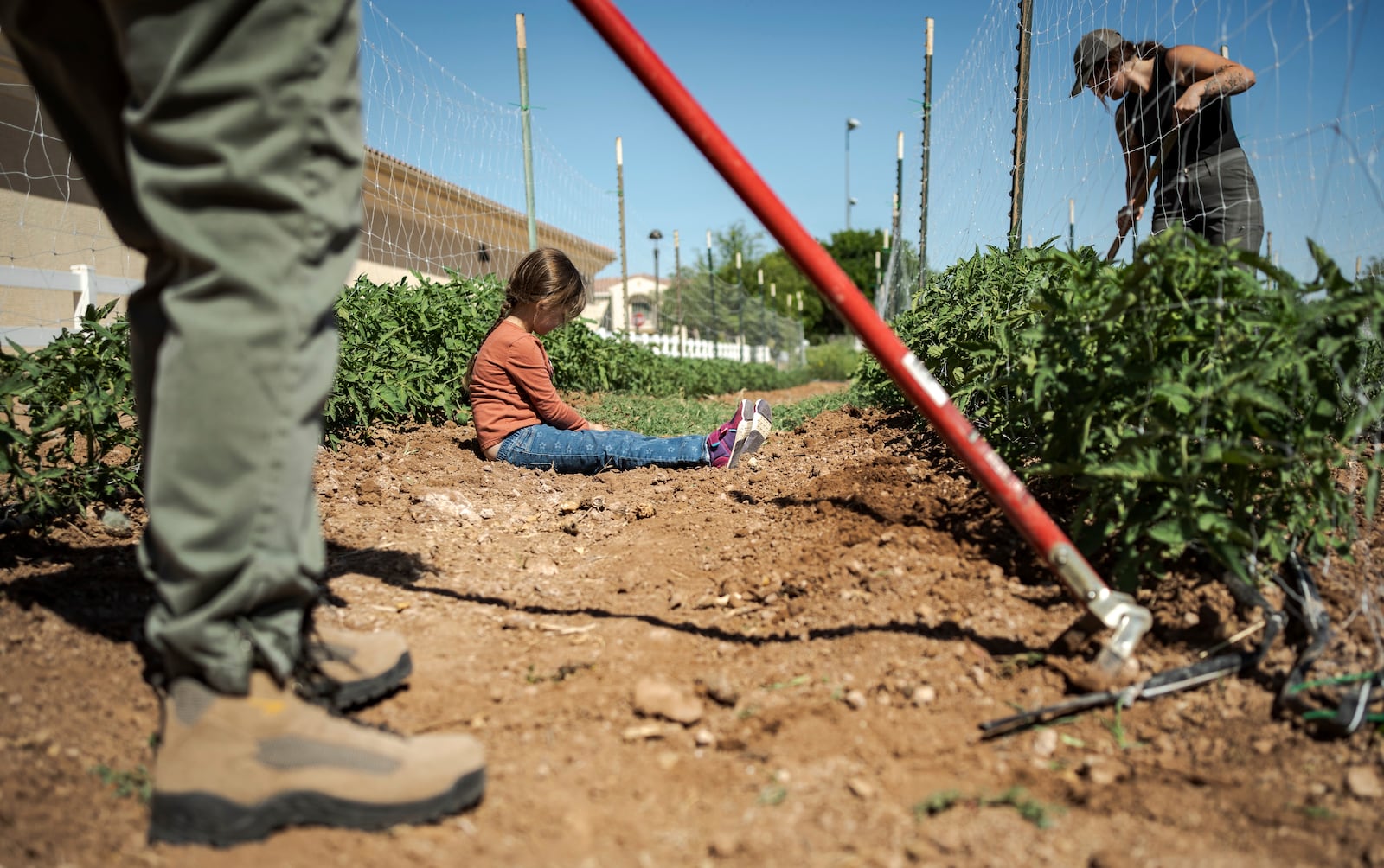 Kamori Parra, 5, hangs out on one of the farms at Agritopia, a community nestled around a plot of agricultural land, on April 22, 2025, in Gilbert, Ariz. (AP Photo/Annika Hammerschlag)