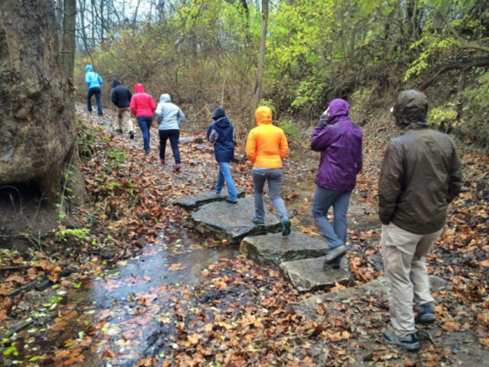 The MetroParks Trails Challenge is designed to be completed at your own pace - CONTRIBUTED