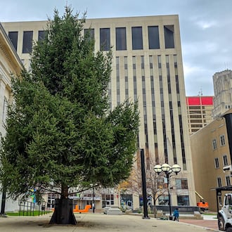 The 2025 Dayton Holiday Tree arrives at Courthouse Square on Nov. 13, 2025. BRYANT BILLING/STAFF