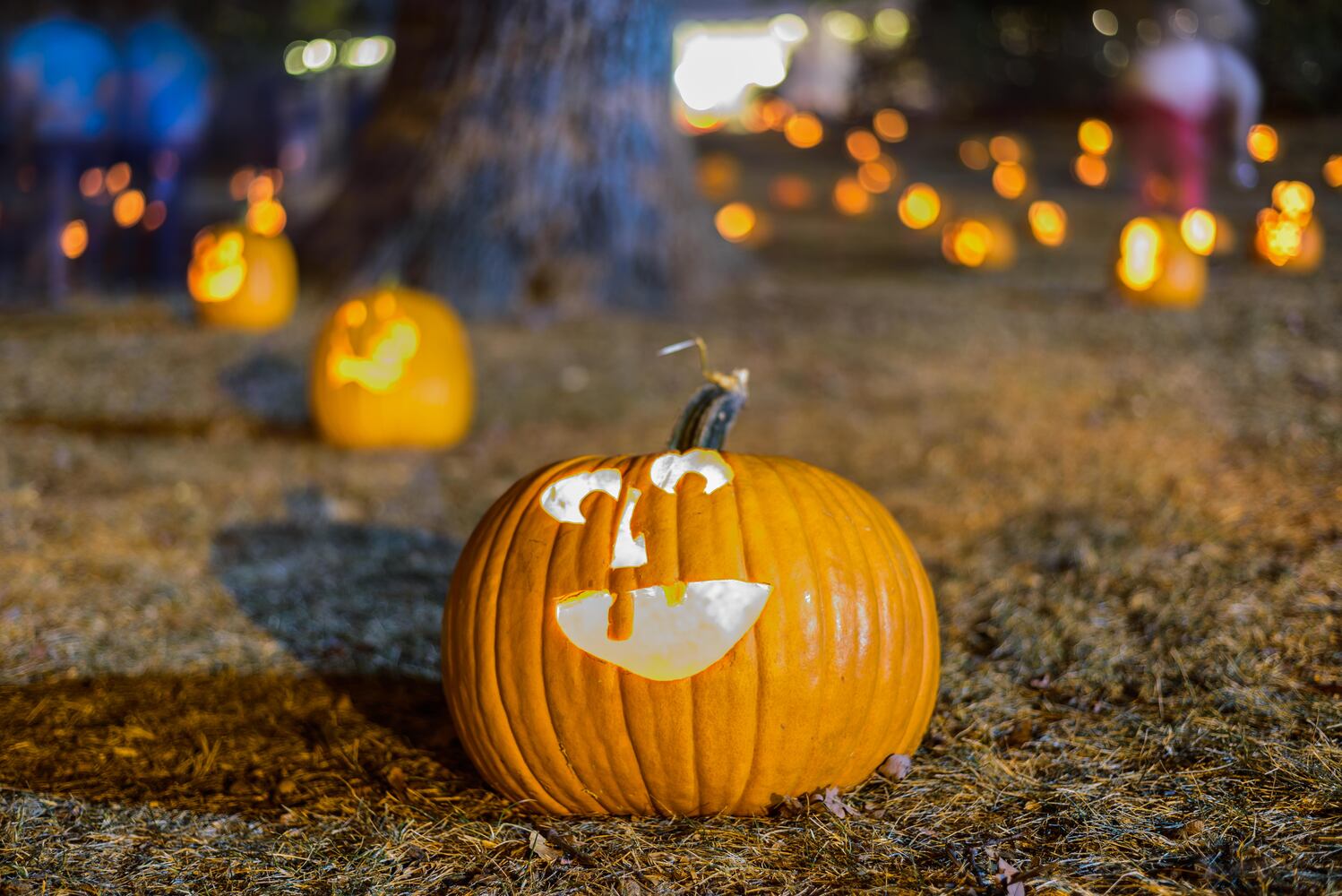 PHOTOS: The Stoddard Avenue Pumpkin Glow