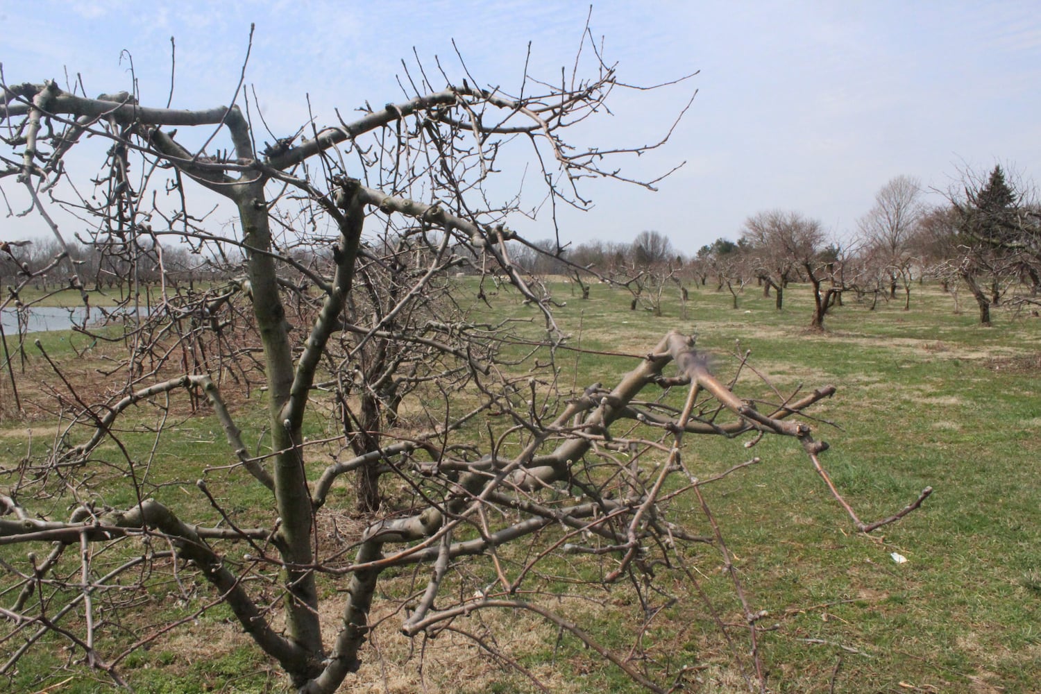 Photos: Monnin’s Fruit Farm getting ready for 58th season