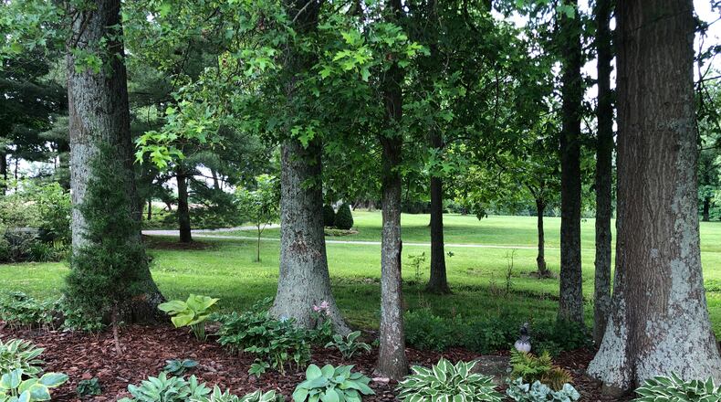 Matt and Lydia Moeller share the joys of starting native plants from seeds in the refrigeration. Over 10 types of milkweeds make their land a Monarch butterfly paradise. The garden is part of the 32nd Annual Lebanon Council of Garden Clubs, Inc. Tour on June 25-26. CONTRIBUTED