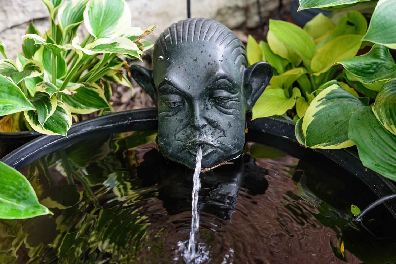 PHOTOS: 2024 St. Anne's Hill Historic District Garden Tour