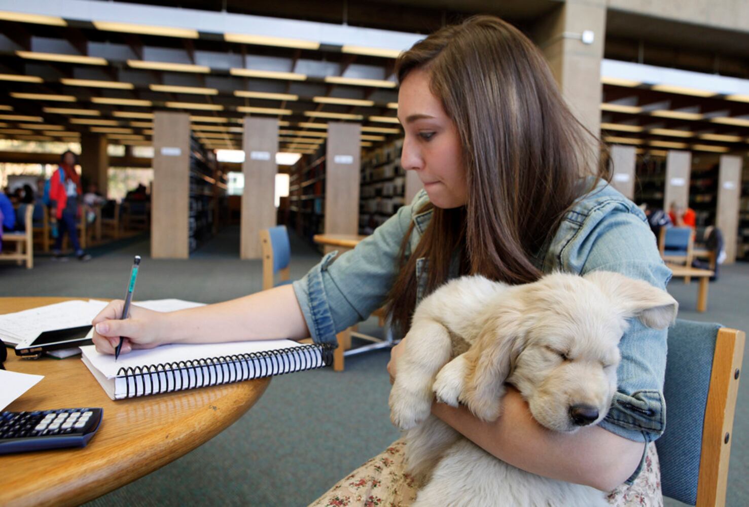 Puppy Therapy for WSU Students