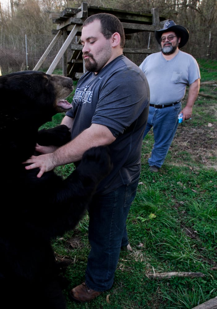 Buddy the bear
