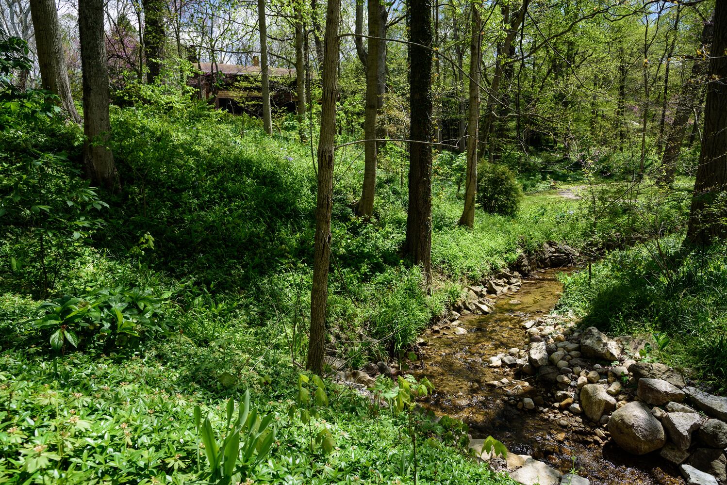 PHOTOS: Gorgeous Aullwood Garden is in full bloom