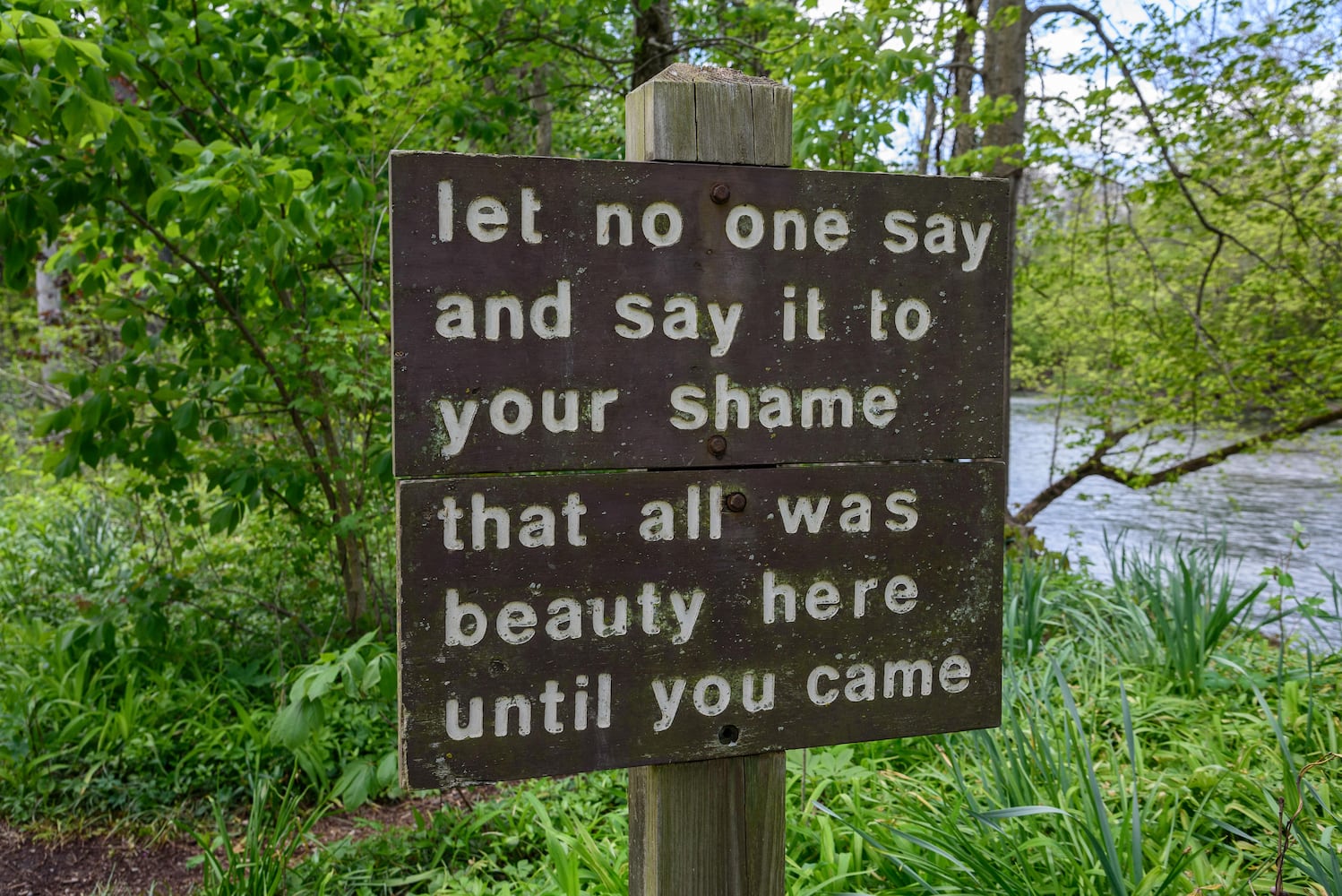 PHOTOS: Gorgeous Aullwood Garden is in full bloom