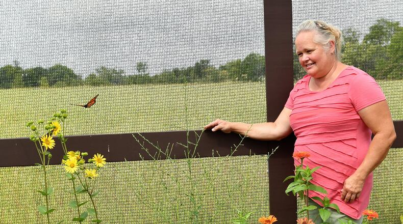 Lisa Reinhard is committed to help the monarch butterfly population, including building a butterfly house on the property at Cedar Springs Pavilion south of Tipp City. CONTRIBUTED.
