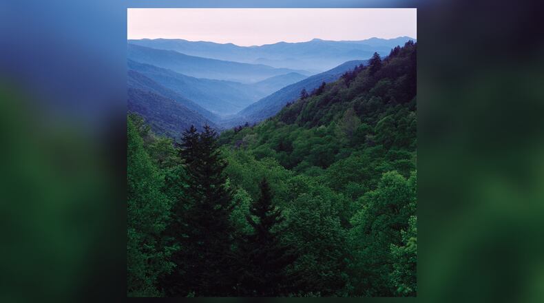 Of the 17,904 total acres that burned in last November's devastating wildfires in and around the Great Smoky Mountains National Park, 11,410 were park lands within the park's boundary. Those 11,410 acres represent only two percent of 522,076-acre park. (Courtesy of Pigeon Forge Department of Tourism/TNS)