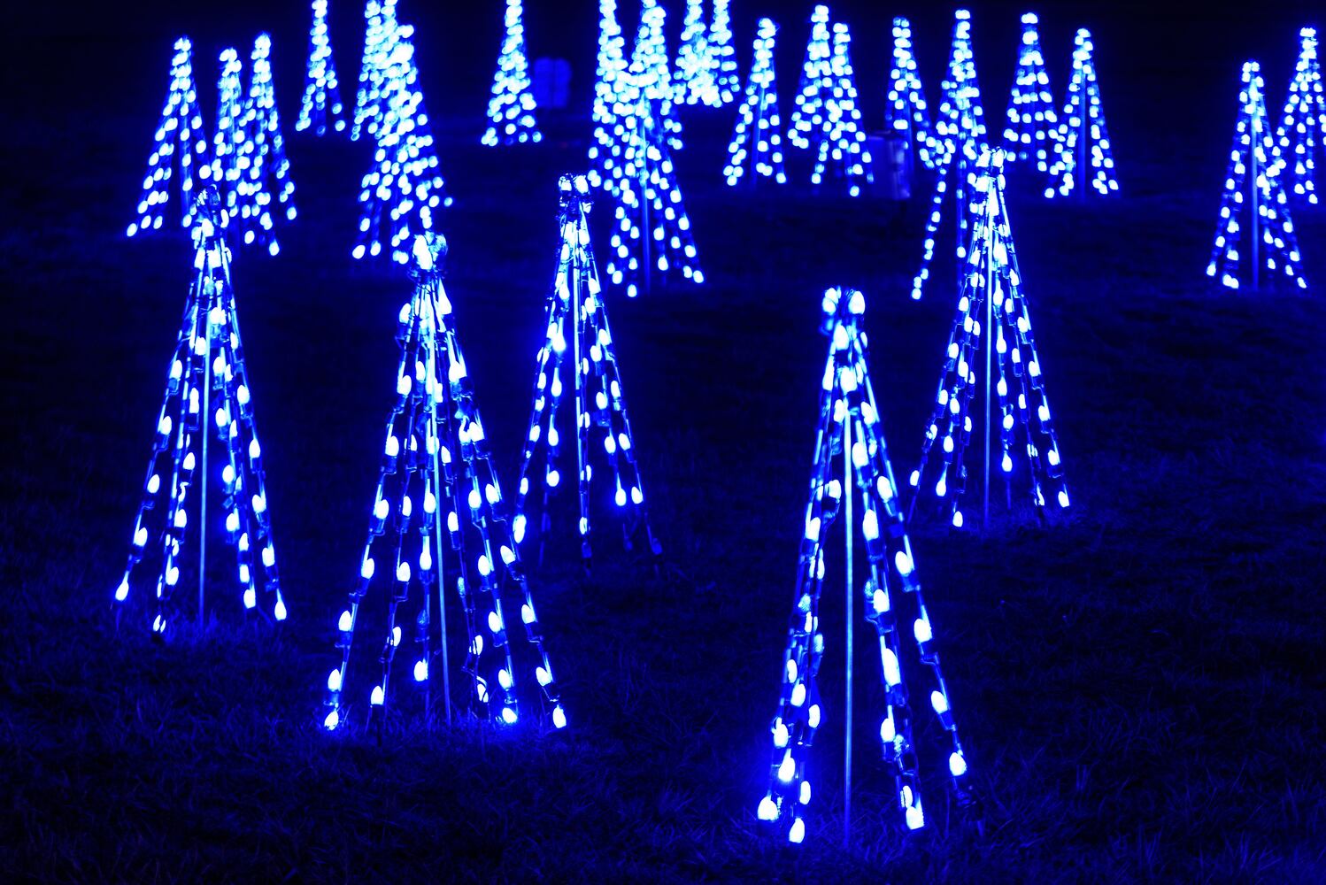 PHOTOS: Shadrack's Christmas Wonderland at the Montgomery County Fairgrounds