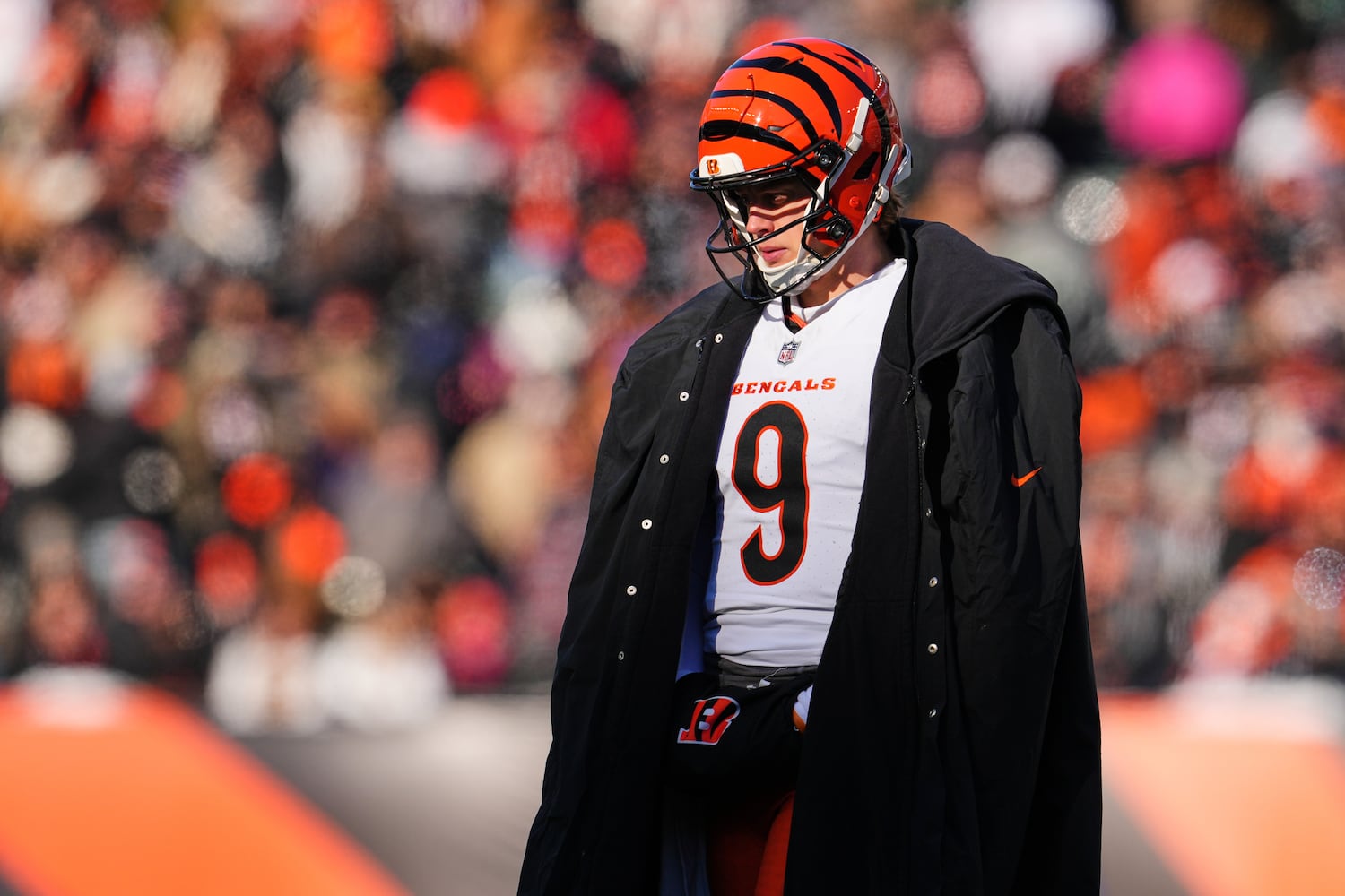 Ravens Bengals Football