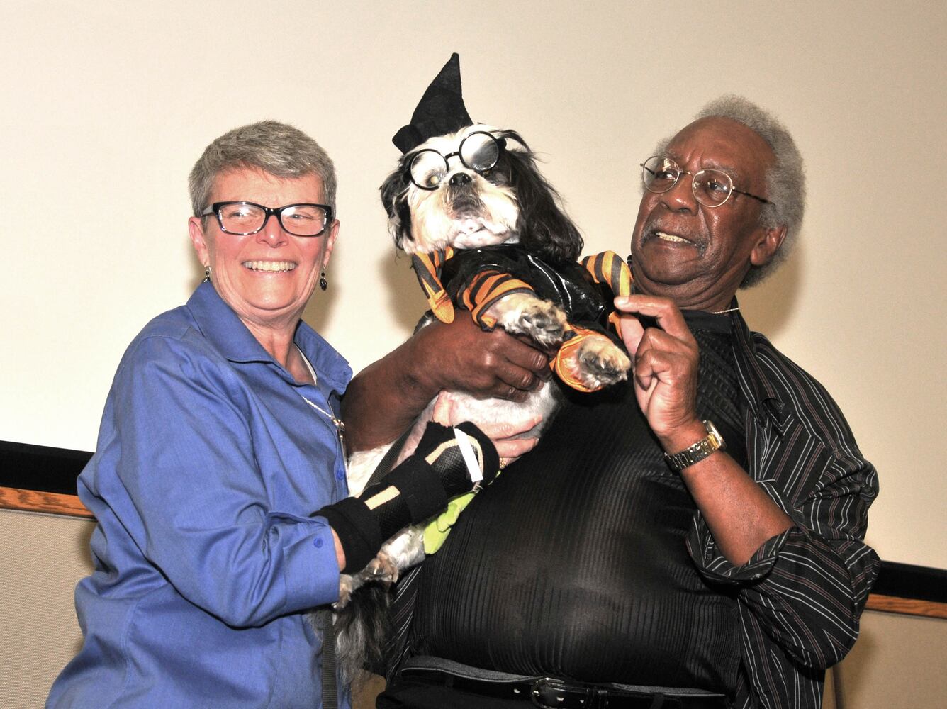 Did we spot you at Dogs on the Catwalk?