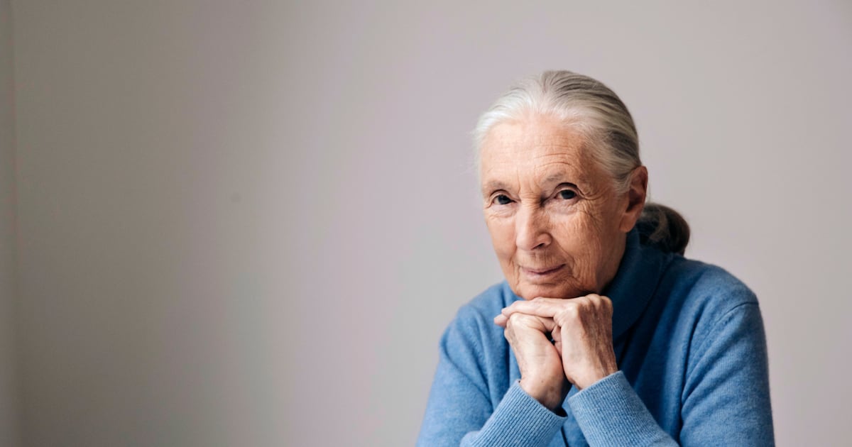 Goodall's influence spread far and wide. Those who felt it are pledging to continue her...