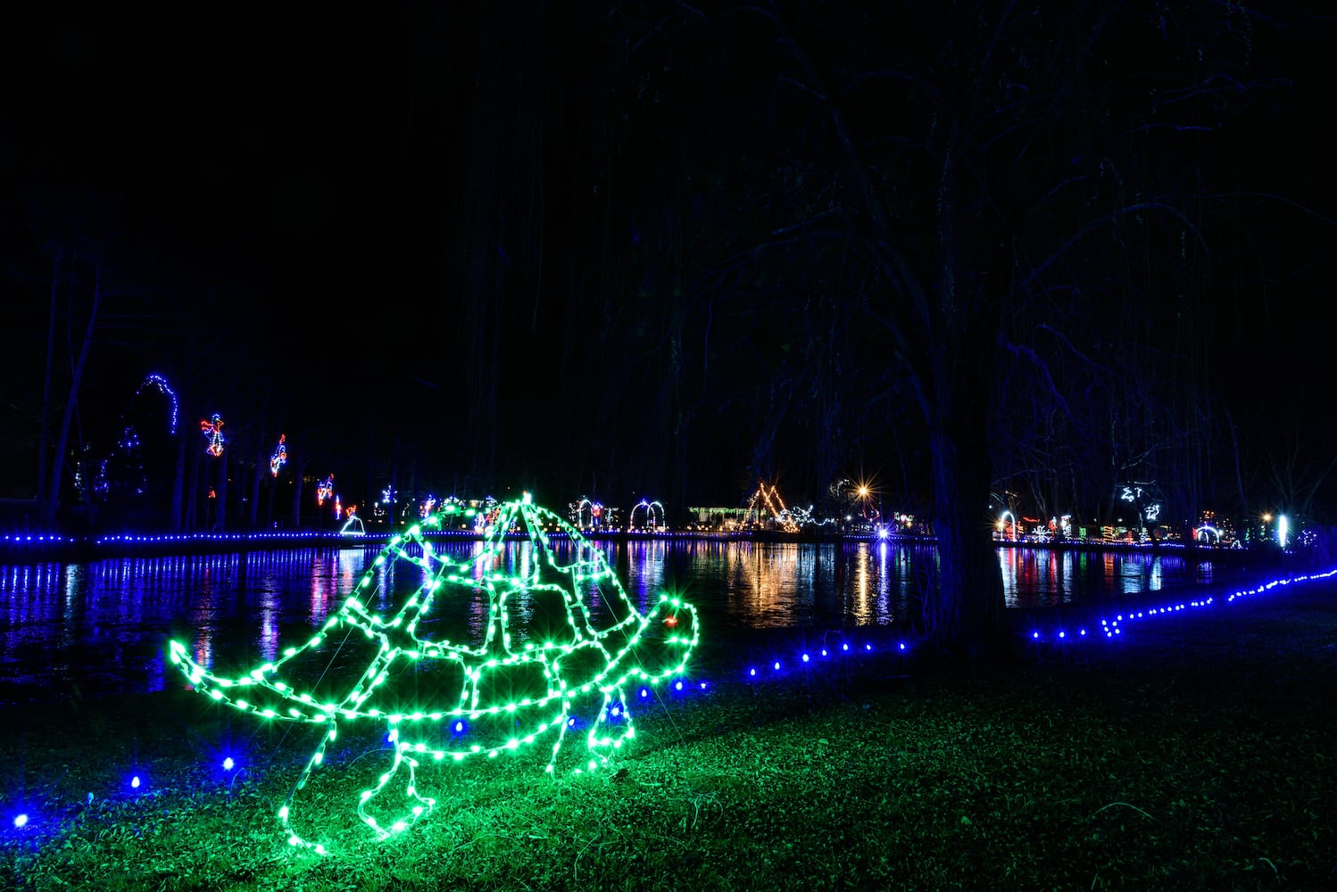 PHOTOS: A walk through Woodland Lights in Washington Township
