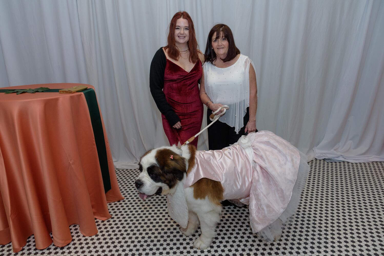 PHOTOS: Did we spot you at the Pet Afflaire Gala at the Dayton Arcade?