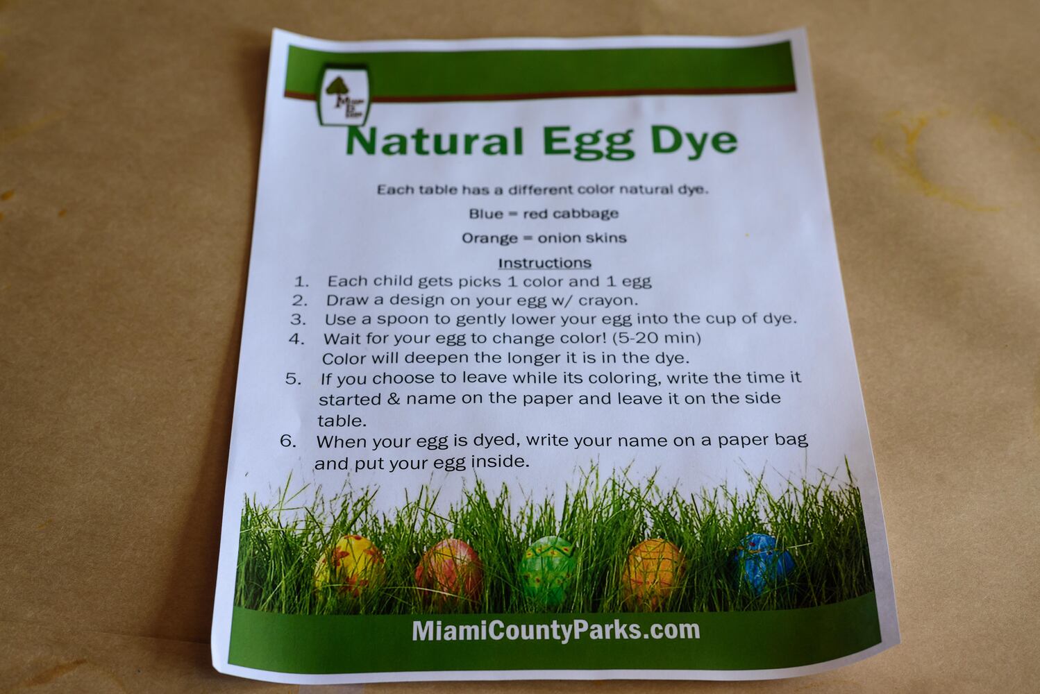 PHOTOS: Eggstravaganza at Lost Creek Reserve