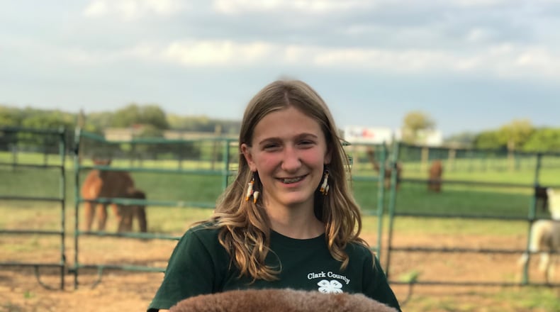 13-year old Hailey Hilty holds a baby alpaca. This weekend area people are invited to see it for themselves as part of National Alpaca Farm Days