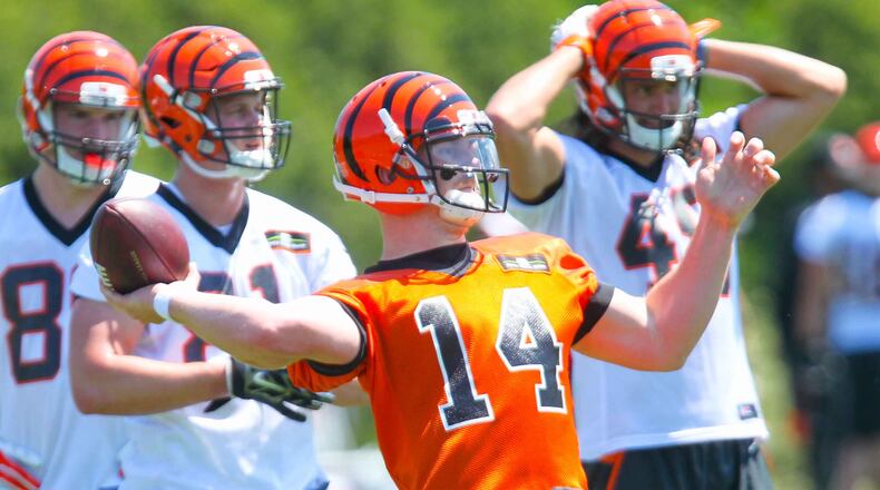 Bengals quarterback Andy Dalton (14) runs a play during the first OTA practice of the year, Tuesday, May 24, 2016. GREG LYNCH / STAFF