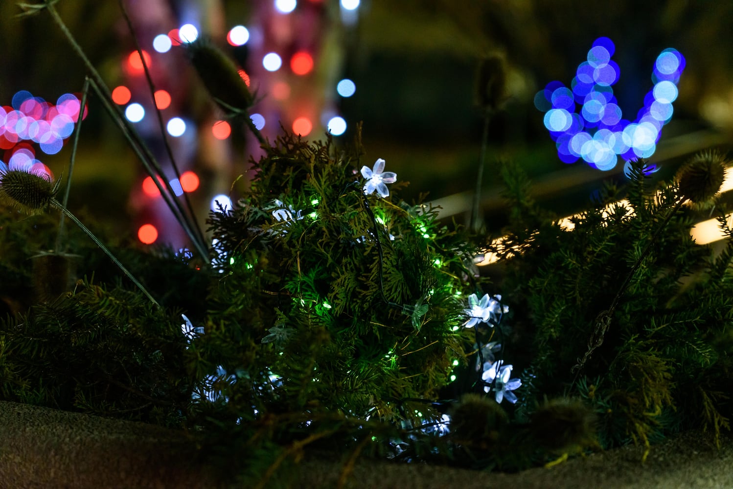 PHOTOS: Swiftie Skate Night at RiverScape MetroPark