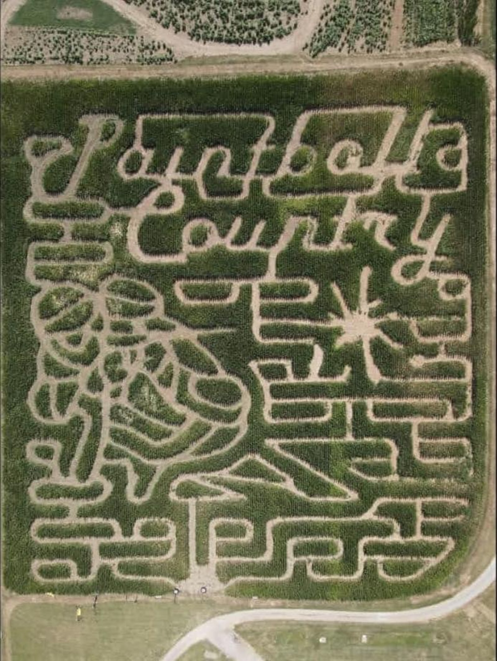 The popular Fall Festival at Niederman Family Farm has a new "Paintball Country" corn maze and more. The Fall Festival will run from Sept. 19 to Oct. 26. CONTRIBUTED