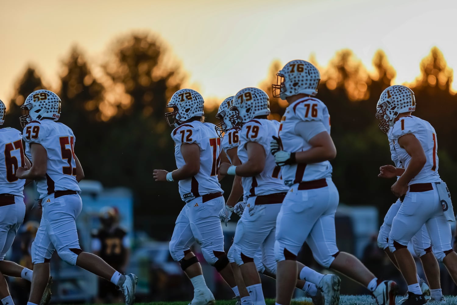 nefb hsfb