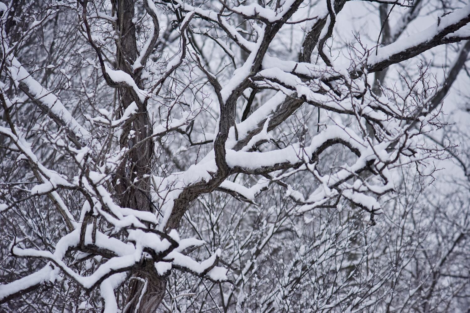 Butler County snow, Feb. 9, 2021