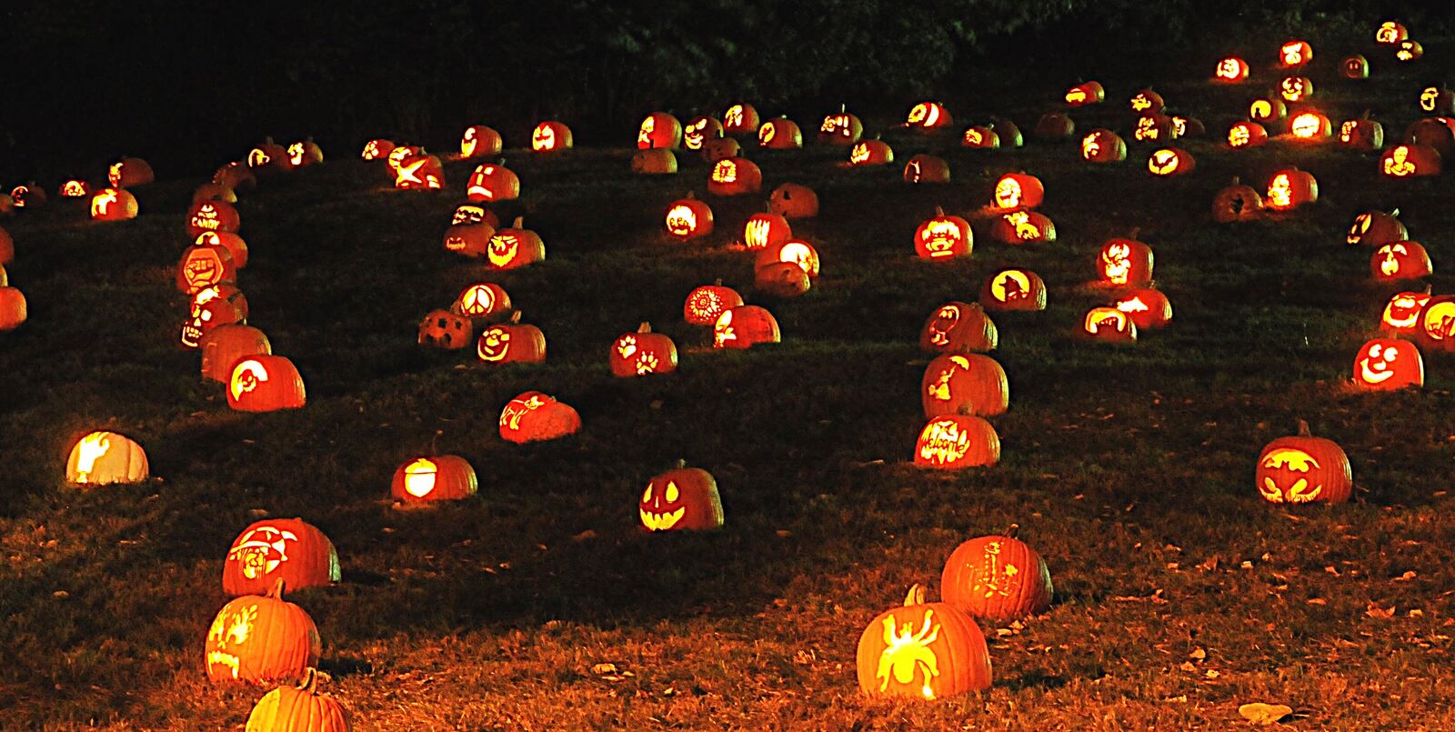 The Dayton community came together to carve over one thousand pumpkins for this year's annual Stoddard Avenue Pumpkin Glow. You can bask in the glow of these pumpkins near the Dayton Art Institute and Annunciation Greek Orthodox Church on Oct. 30-31. MARSHALL GORBY / STAFF PHOTO