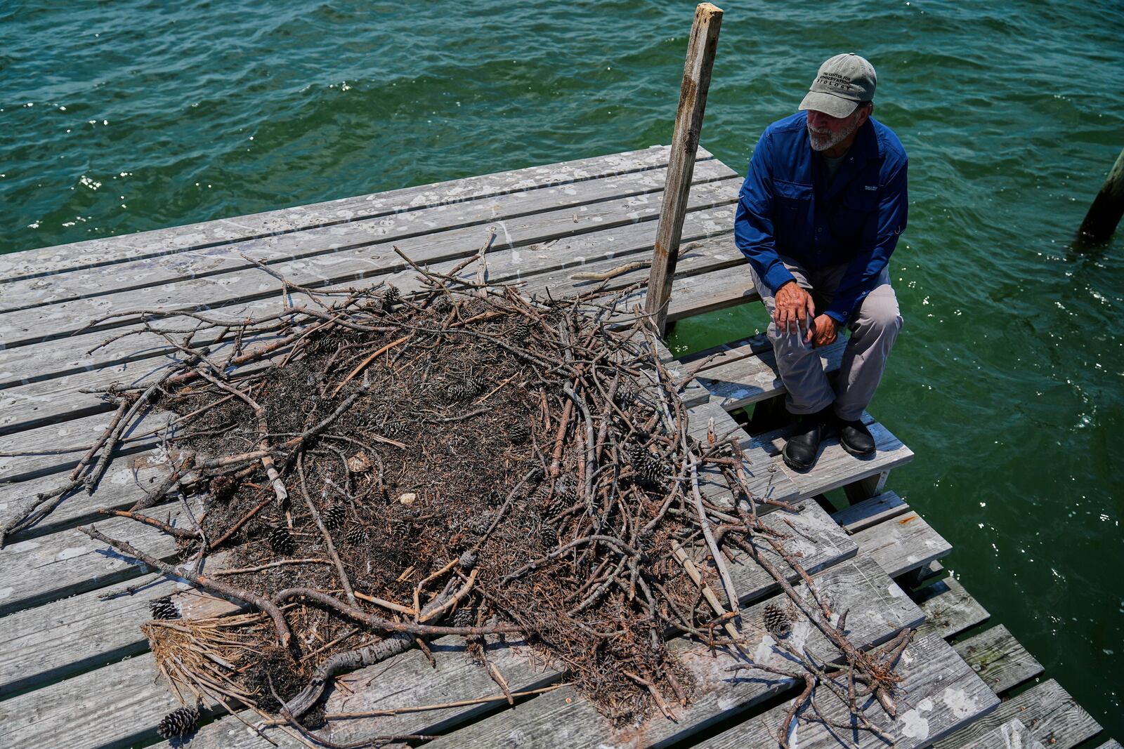 Brian Watts, research professor and director of the Center for Conservation Biology at The College of William & Mary, looks over at failed osprey nest atop a wooden duck blind on the Lower York River, June 30, 2025, in Gloucester Point, Va. (AP Photo/Stephanie Scarbrough)