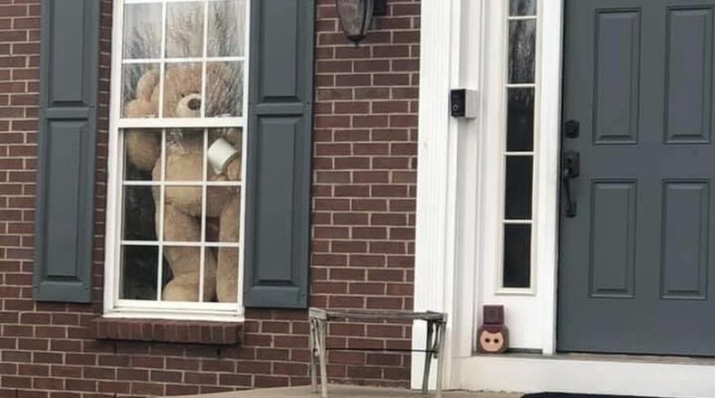 A bear spotted in the Dayton-area as a part of the Bear Hunt craze. CONTRIBUTED