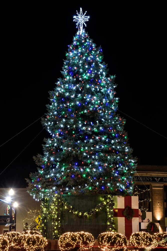 PHOTOS: Troy’s Holiday Tree Lighting