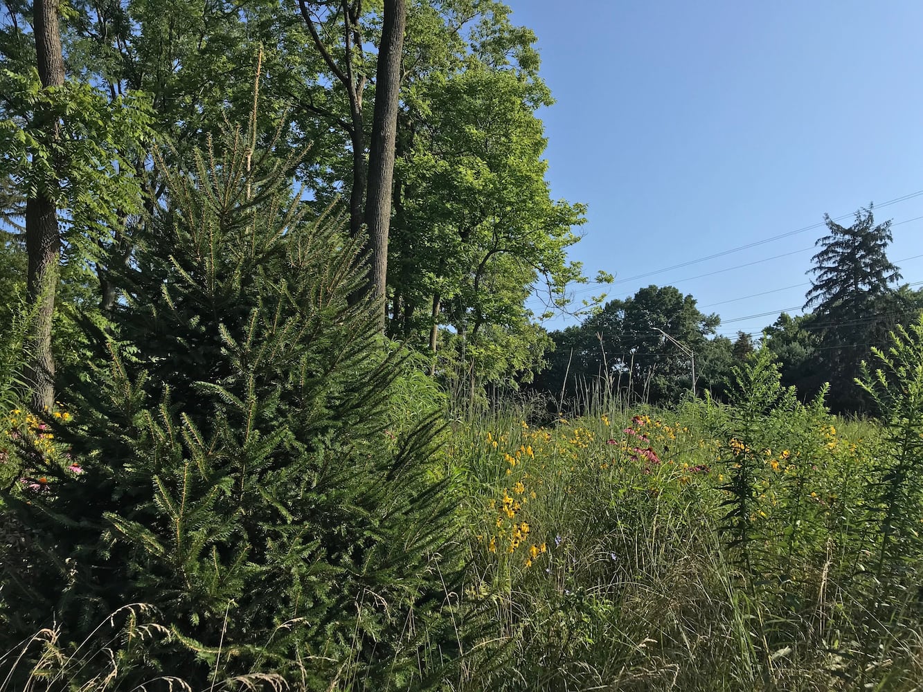 PHOTOS: This hidden park on the side of the road might be one of Dayton’s most peaceful spots