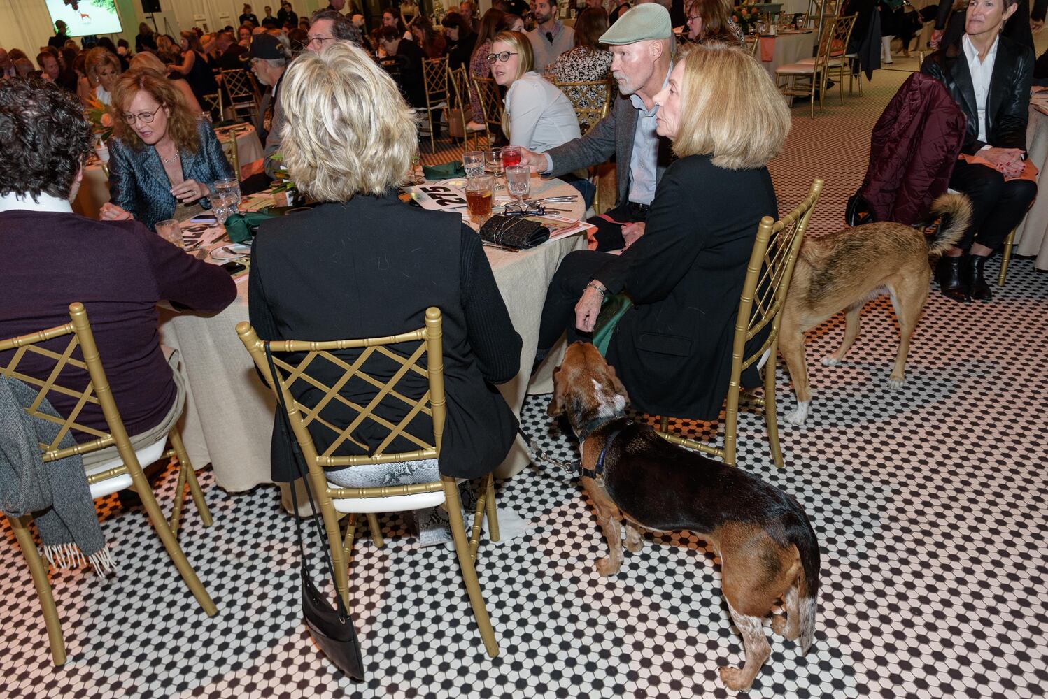 PHOTOS: Did we spot you at the Pet Afflaire Gala at the Dayton Arcade?