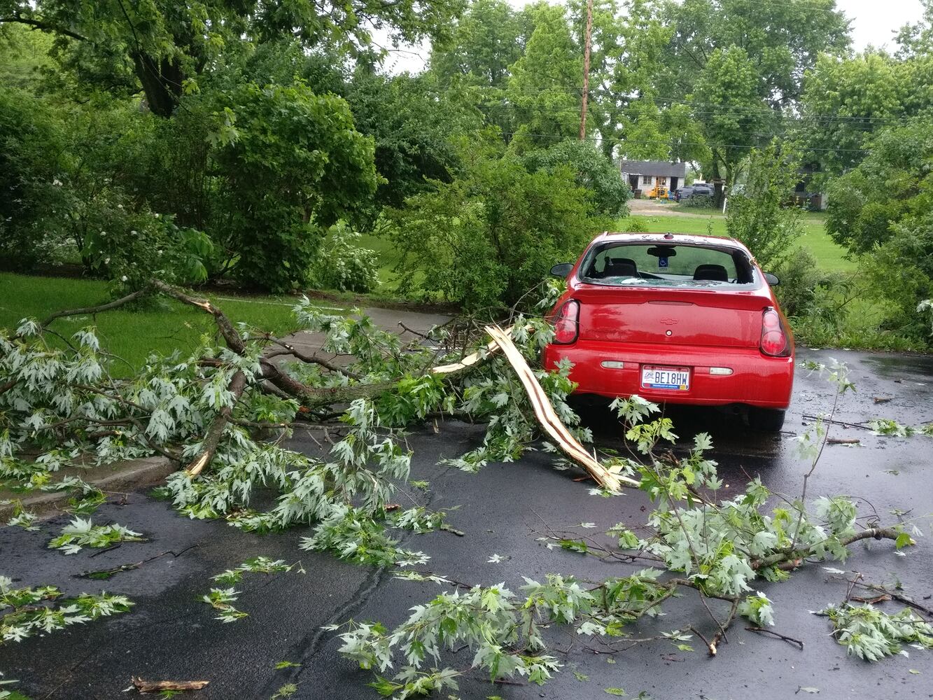 Storm damage