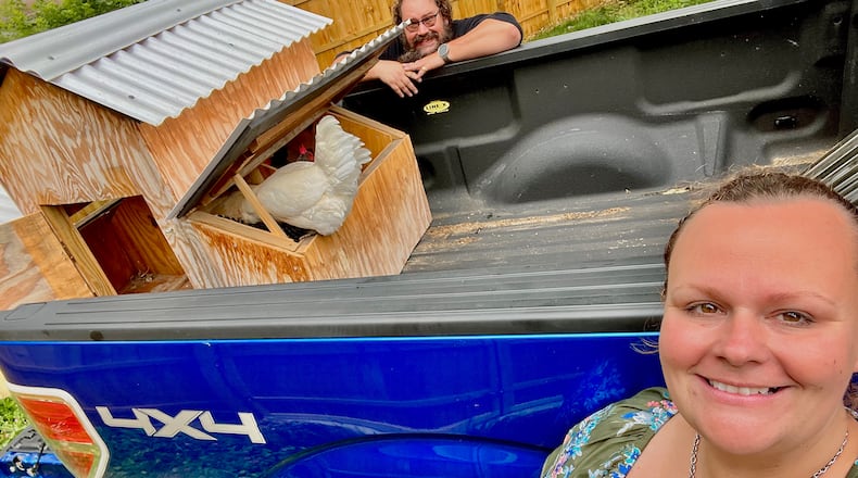 Bob (left) and Heather Butler own an 1885-era home in Dayton. They have transformed their home into an urban farm that produces about 75% of the food the couple eats. They are shown earlier this year moving their flock of laying hens into a new coup. CONTRIBUTED PHOTOS