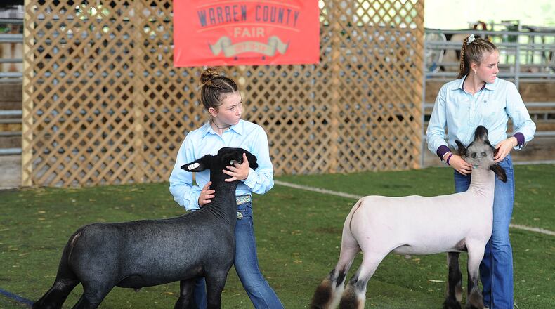 Market Lamb judging at the Warren County Fair, from left, Delaney Chester and Bailey Nahrup Tuesday July 20 2021. MARSHALL GORBY\STAFF