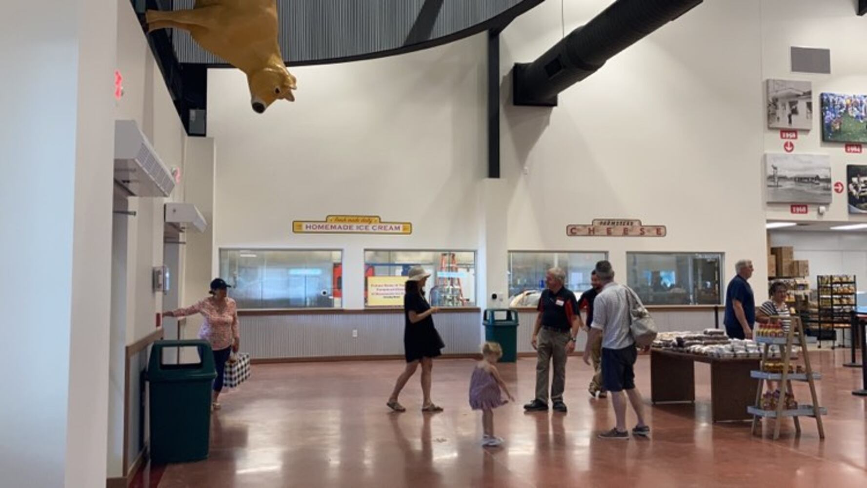 PHOTS: Day one of the brand new Young's Jersey Dairy barn