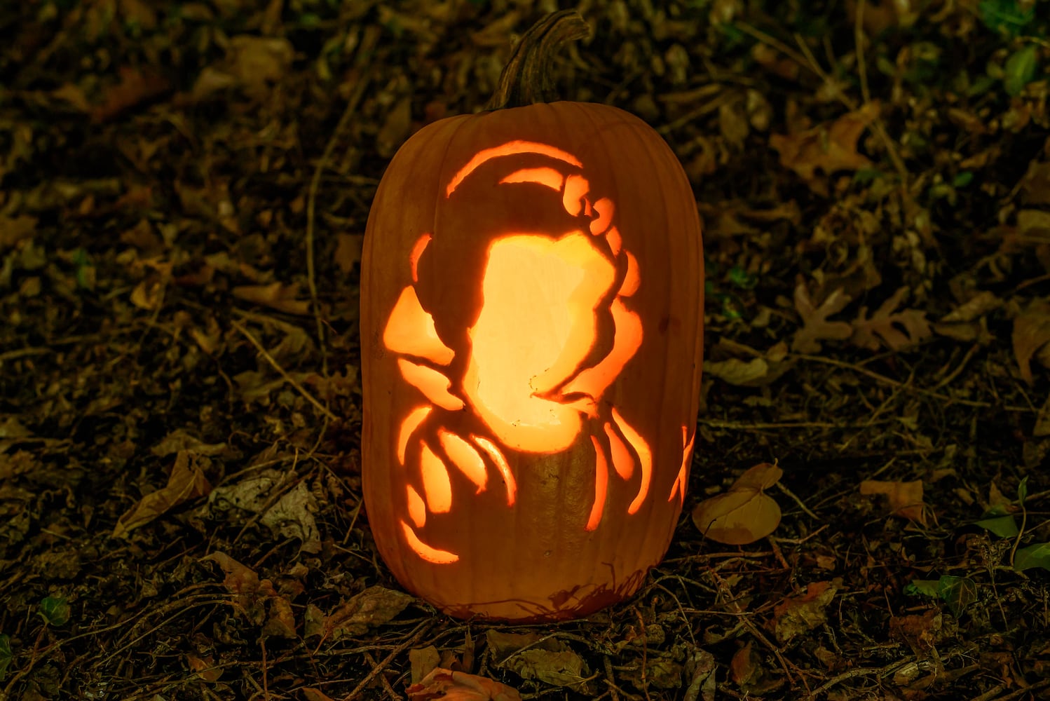 PHOTOS: 2025 Stoddard Avenue Pumpkin Glow