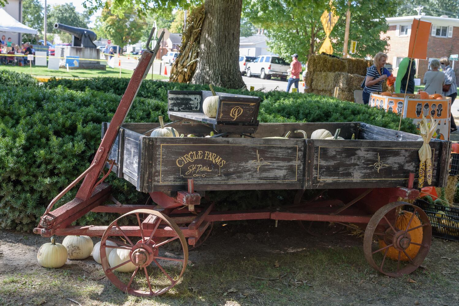 PHOTOS: Did we spot you at the Tipp City Mum Festival?