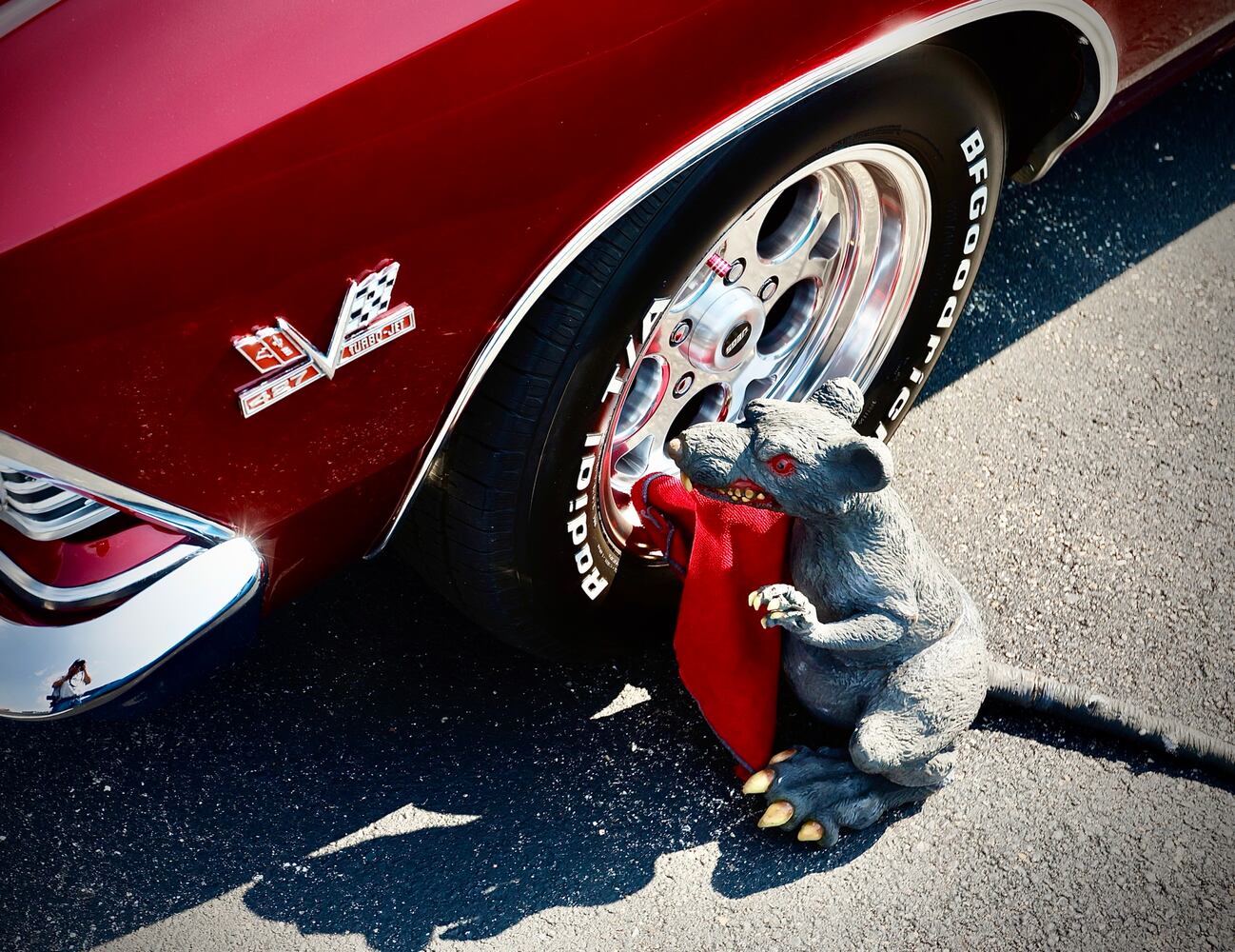 Cruise in