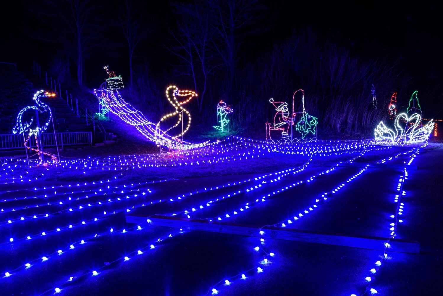PHOTOS: ParkLights at Caesar Ford Park