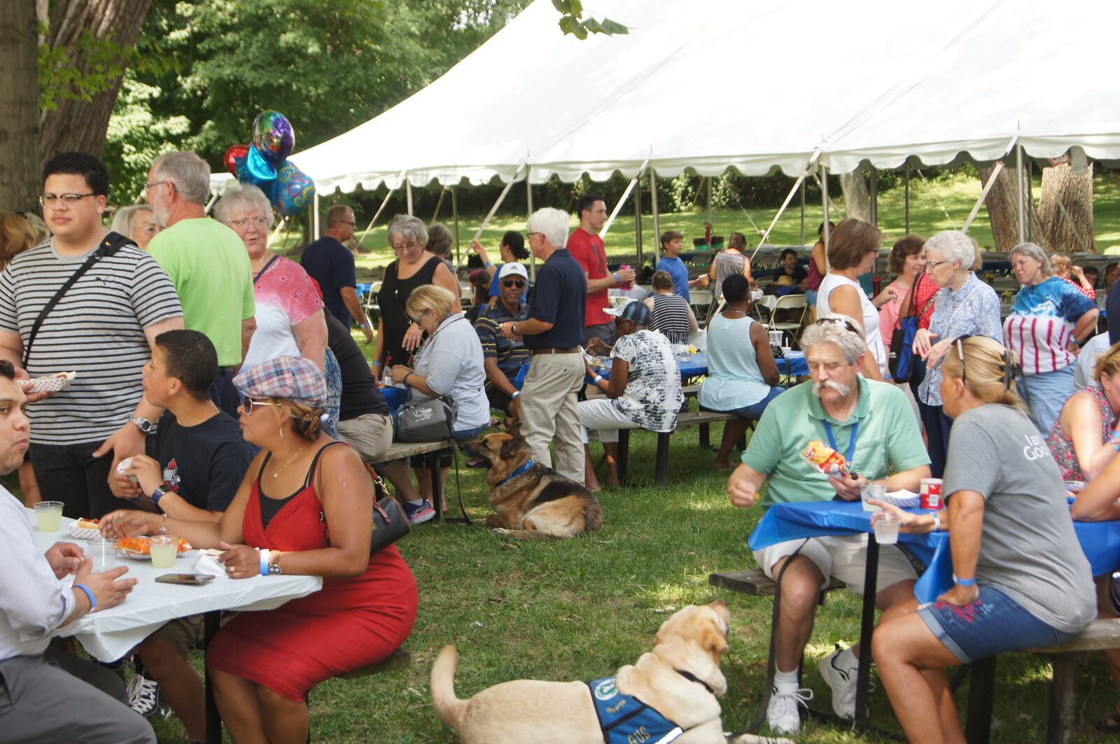 Good Samaritan employees and past employees gathered for a "family picnic" in Dayton before the hospital closes. CONTRIBUTED