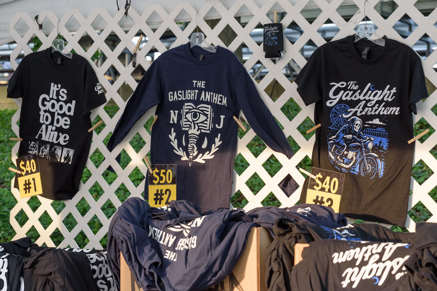 PHOTOS: Counting Crows & The Gaslight Anthem live at Fraze Pavilion