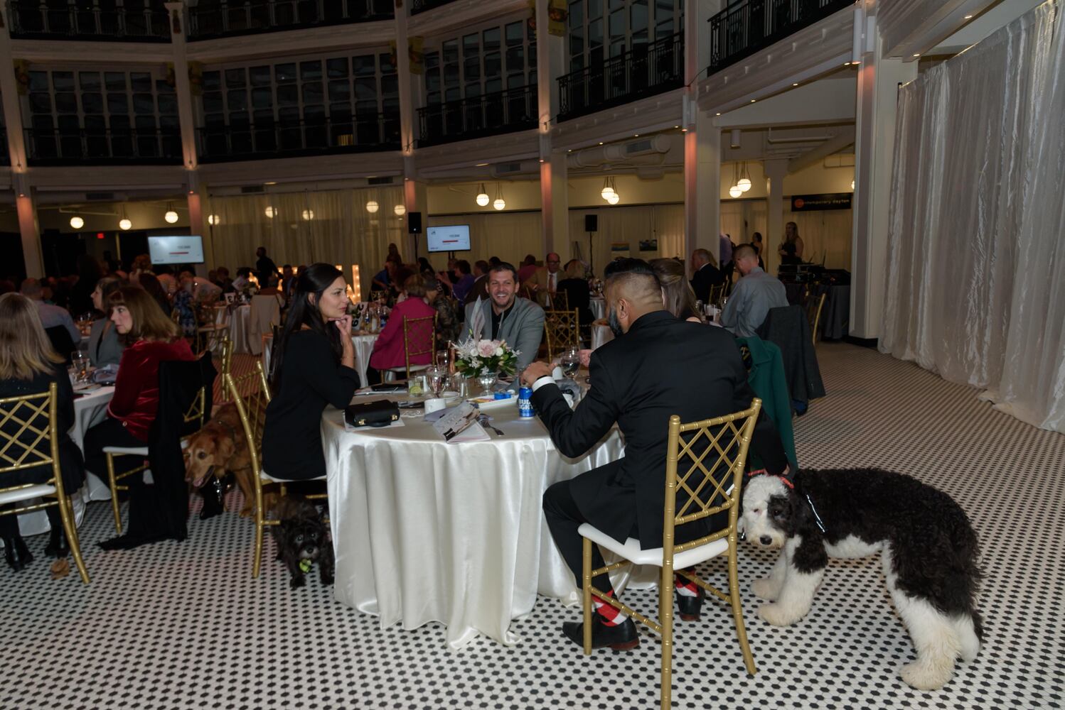 PHOTOS: Did we spot you during Pet Afflaire at the Dayton Arcade?