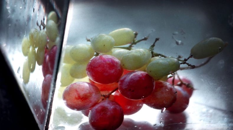 KRT FOOD STORY SLUGGED: GRAPES KRT PHOTO BY LINDA STELTER/THE STATE (KRT10 - November 2) Grapes are one of the oldest and most abundant food sources with varieties used for snacks to wine making. (CS) AP PL KD 1998 (Horiz)