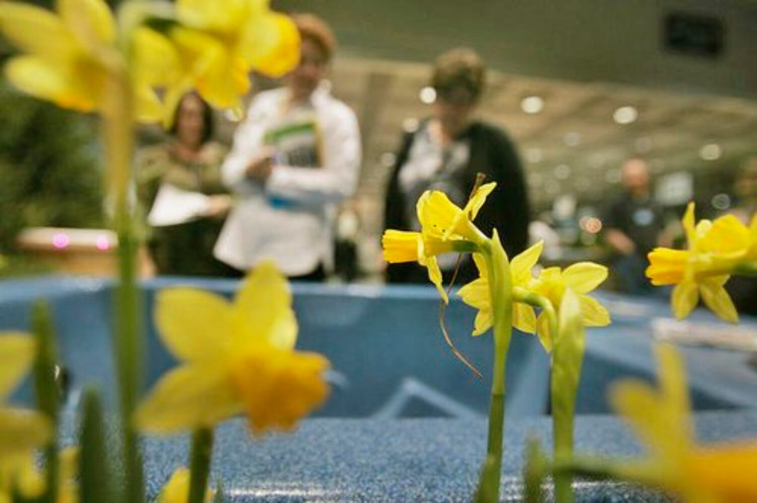 Dayton Home & Garden Show