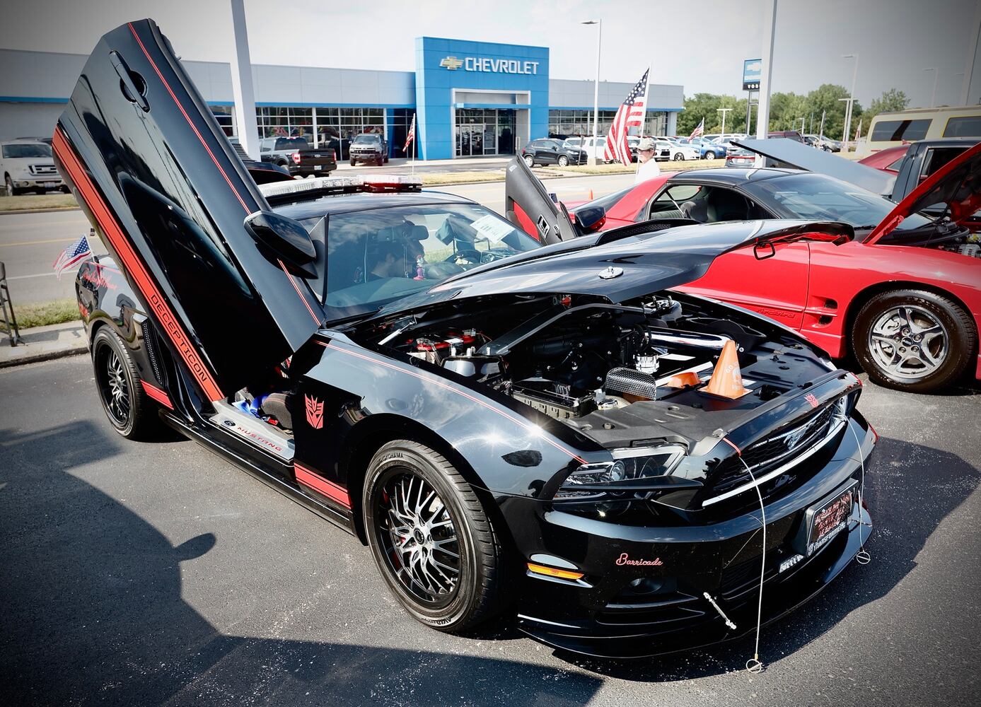 Cruise in