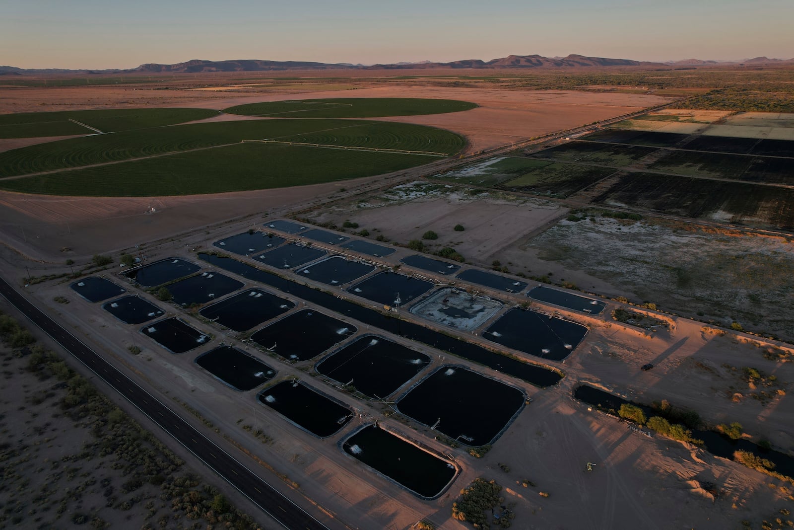 Artificial ponds for farmed fish operate near crop fields Saturday, April 19, 2025, at a Mainstream USA fish farm in Dateland, Ariz. (AP Photo/Joshua A. Bickel)