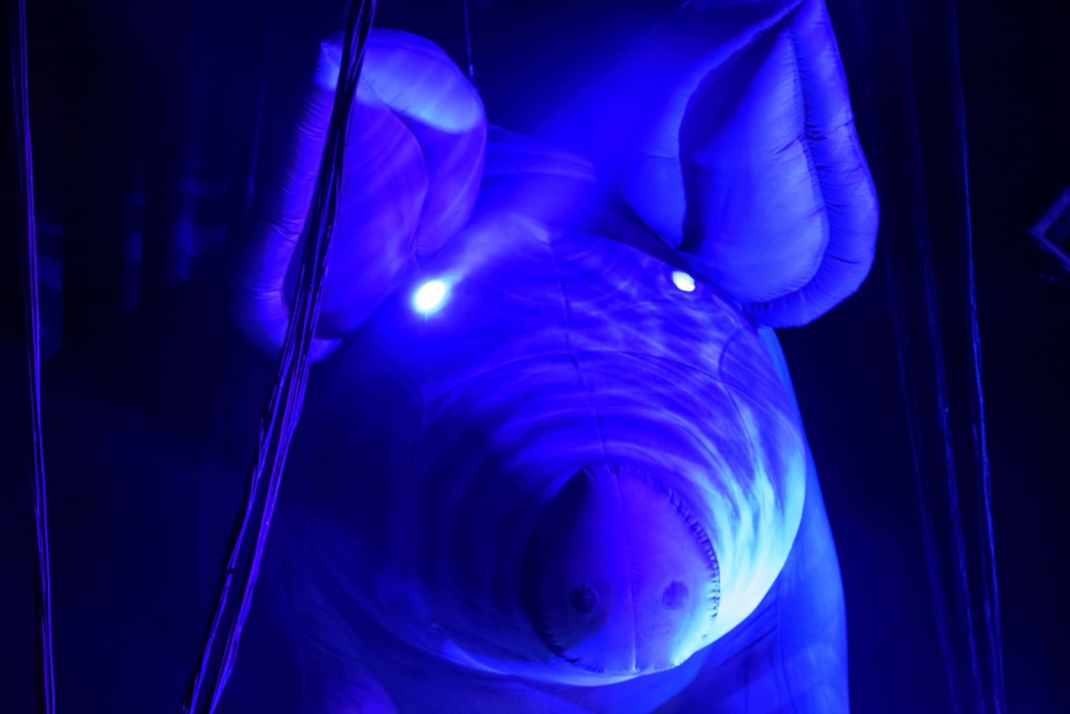 PHOTOS: Brit Floyd 'Wish You Were Here' live at Rose Music Center
